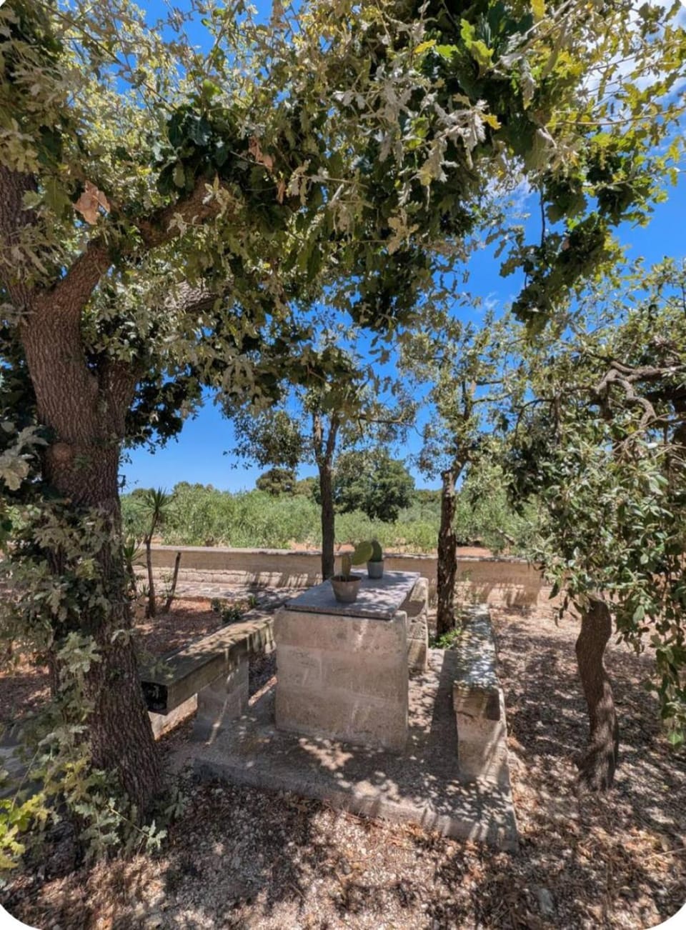 Da Giò - Casa Vacanze a Locorotondo House in Province of Taranto