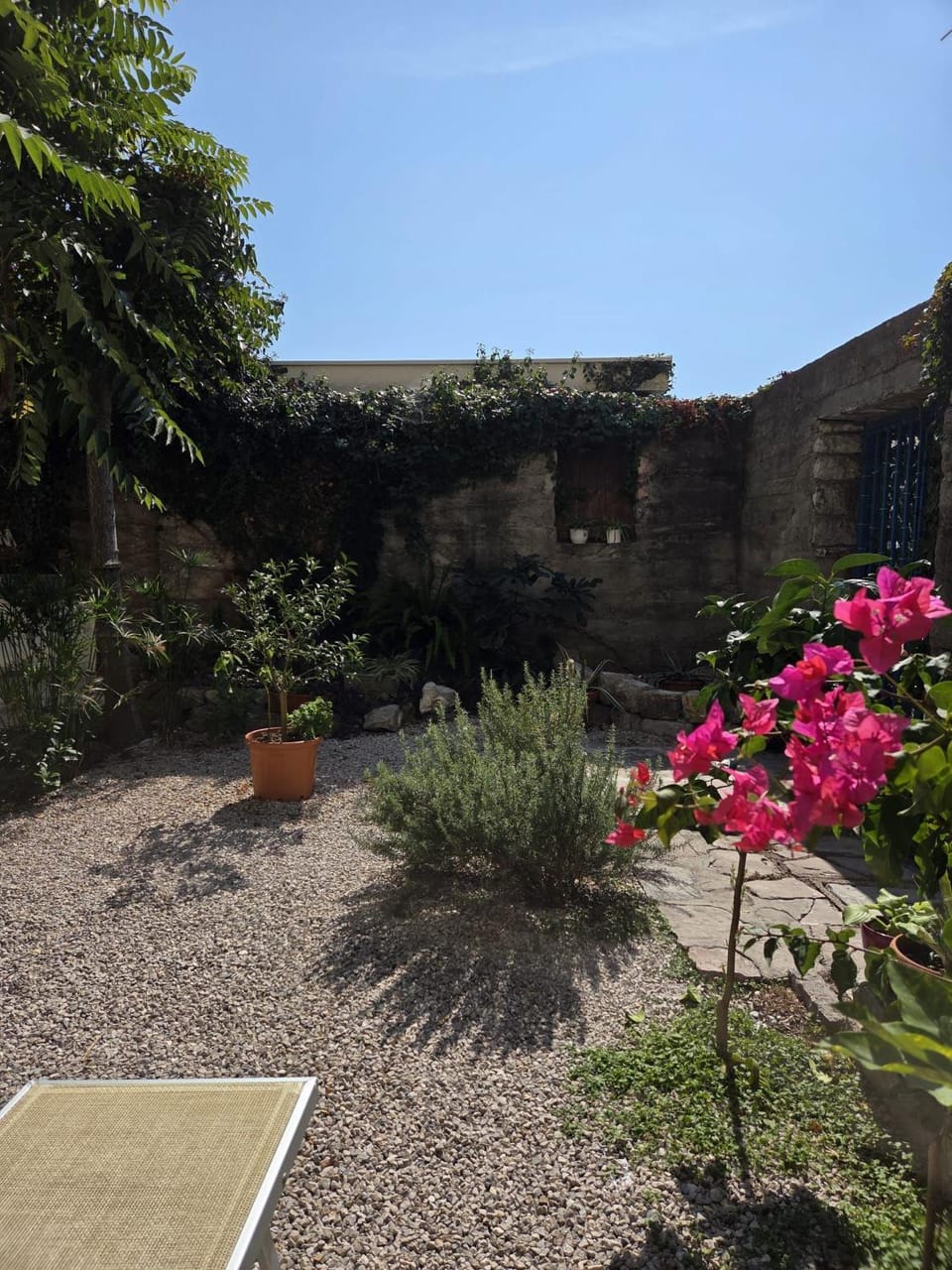 Milena Apartment in Budva Municipality