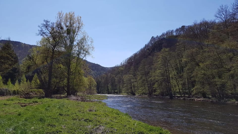 Spring, Day, Garden, Other, On site, River view