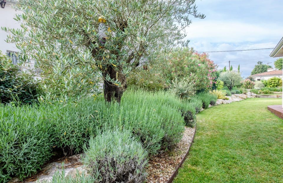 Studio Nathalie et Sebastien Bed and Breakfast in Nouvelle-Aquitaine