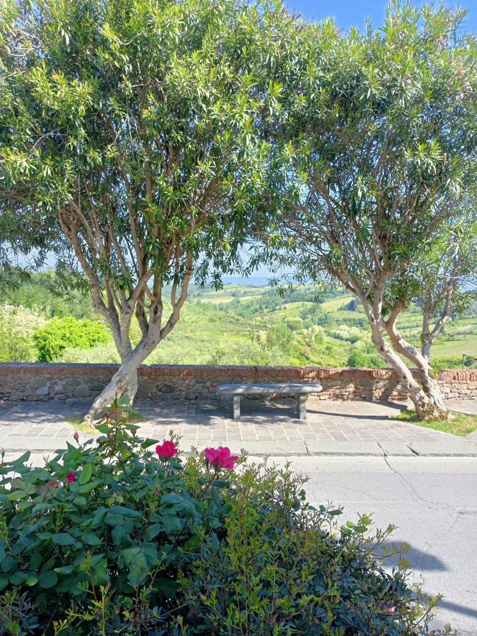 Tuscany Life Apartment in Tuscany