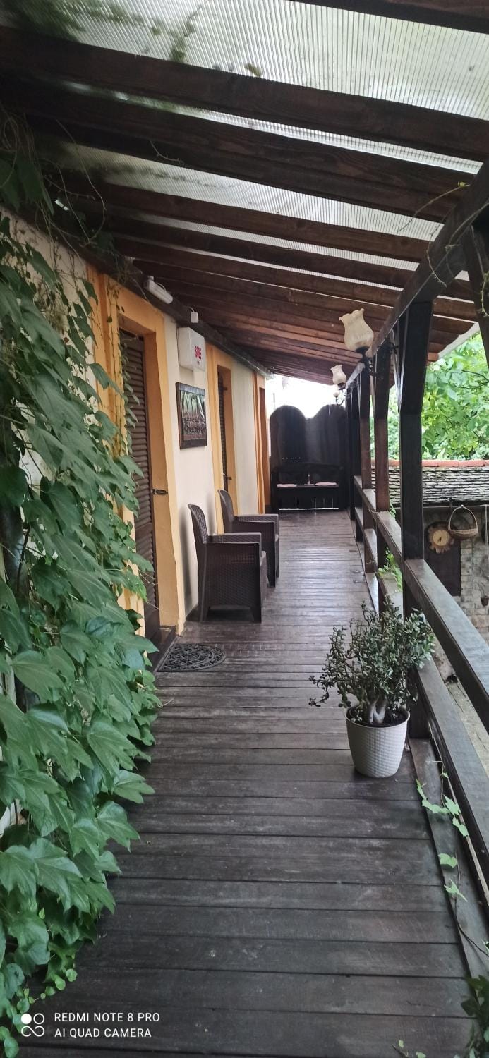 Guesthouse Zeko Bed and Breakfast in Vojvodina