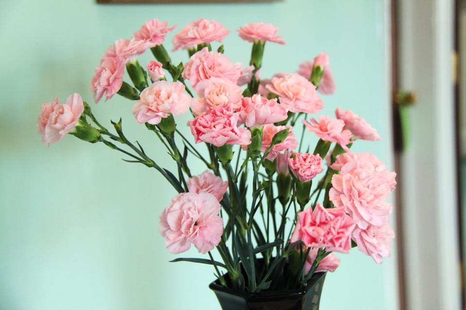 Haven Crest Bed and Breakfast in England