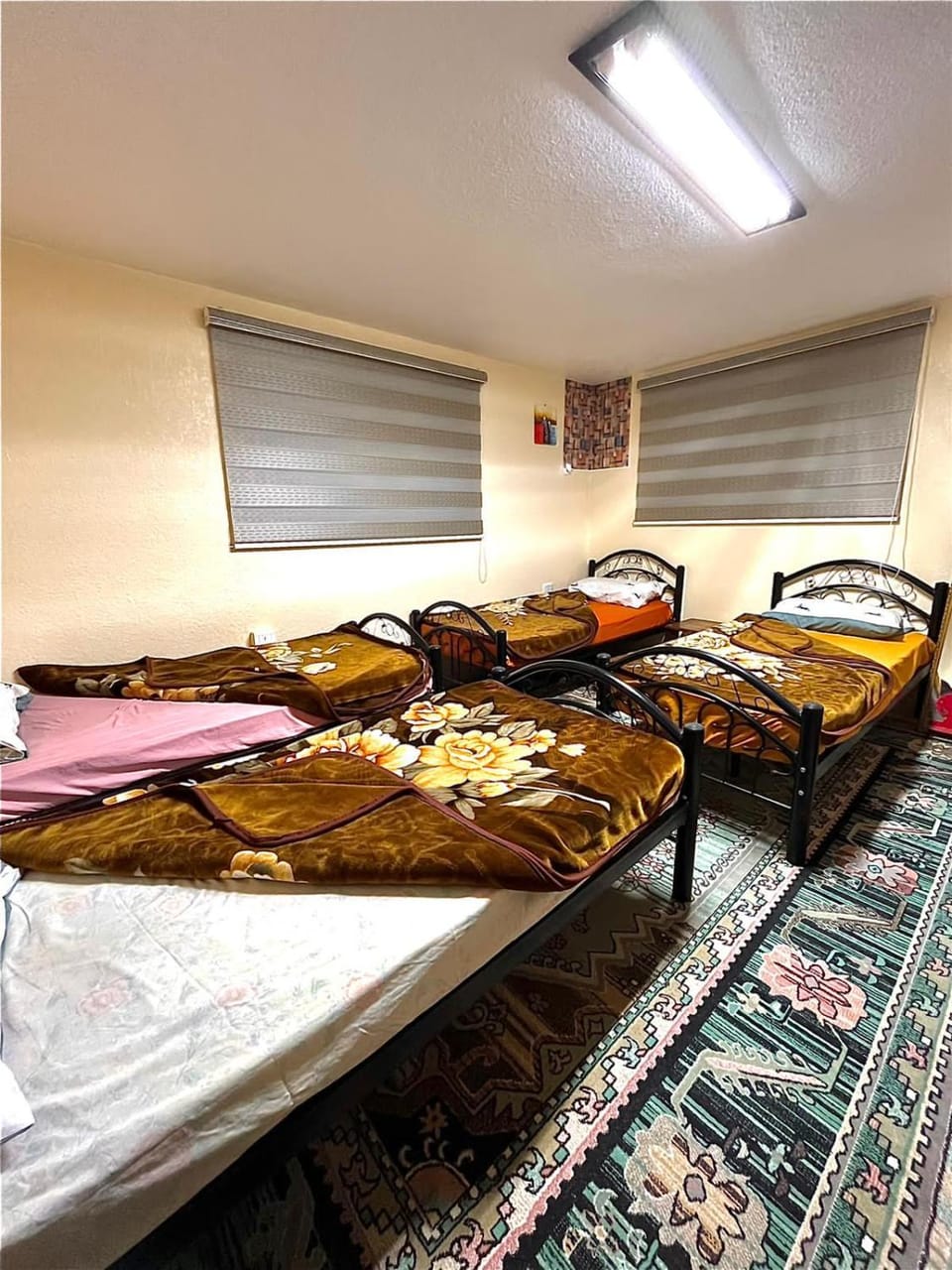 Petra Heritage House Bed and Breakfast in Africa