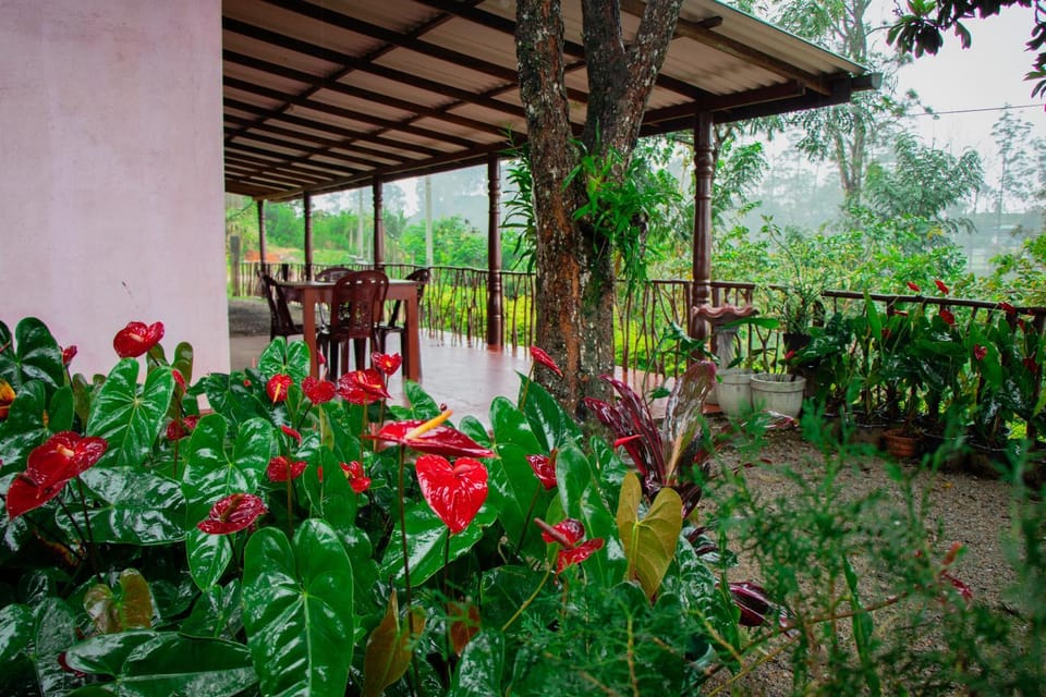 Property building, Garden, View (from property/room), Garden view