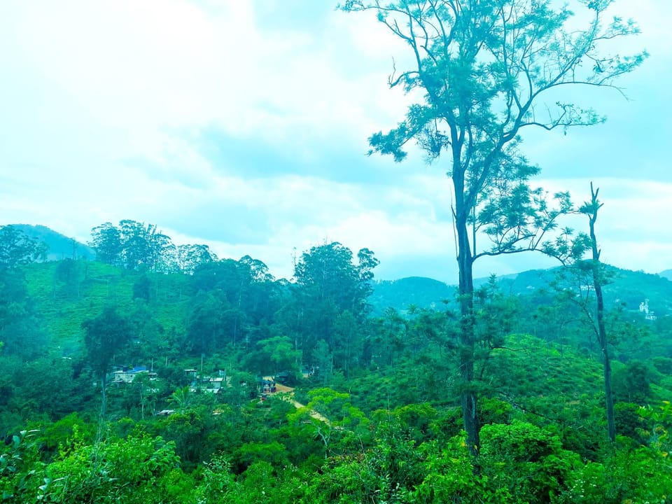 View (from property/room), Mountain view