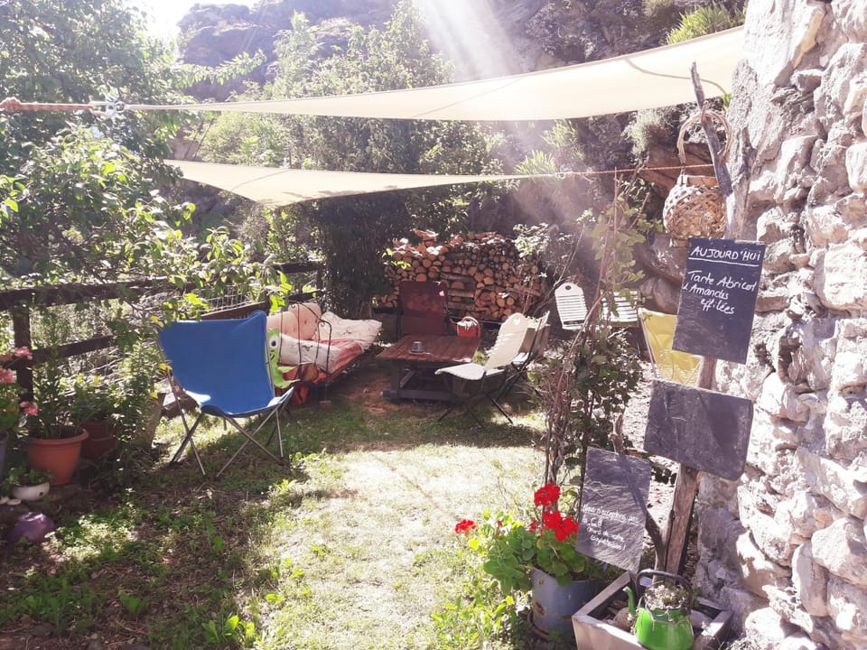Day, Garden, Garden view