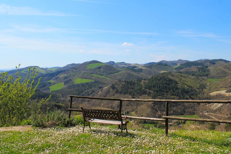 Spring, Natural landscape, View (from property/room), Mountain view