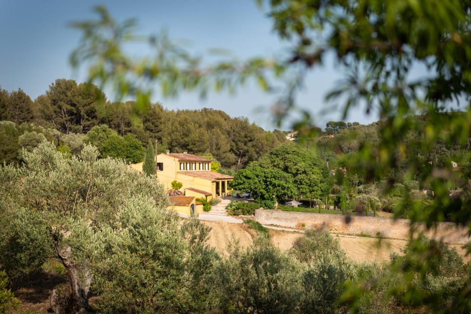 Property building, Day, Natural landscape