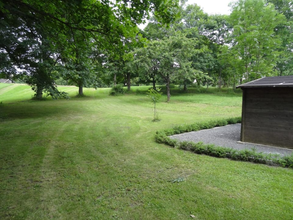 Day, Garden, Garden view