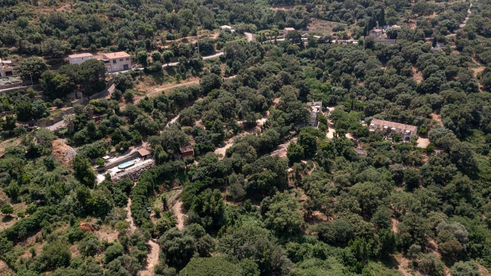 Neighbourhood, Natural landscape, Bird's eye view, Street view