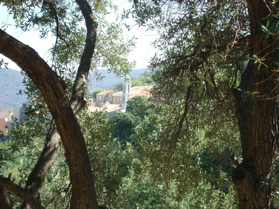 Natural landscape, Mountain view