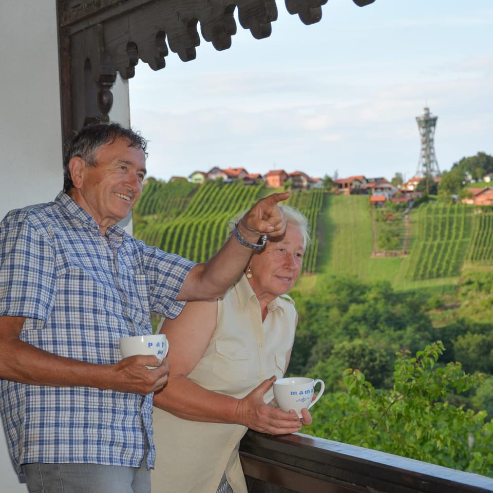 Vinum Vidae House in Slovenia