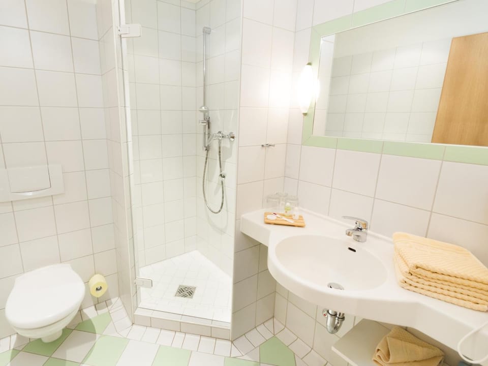 Shower, Toilet, Bathroom
