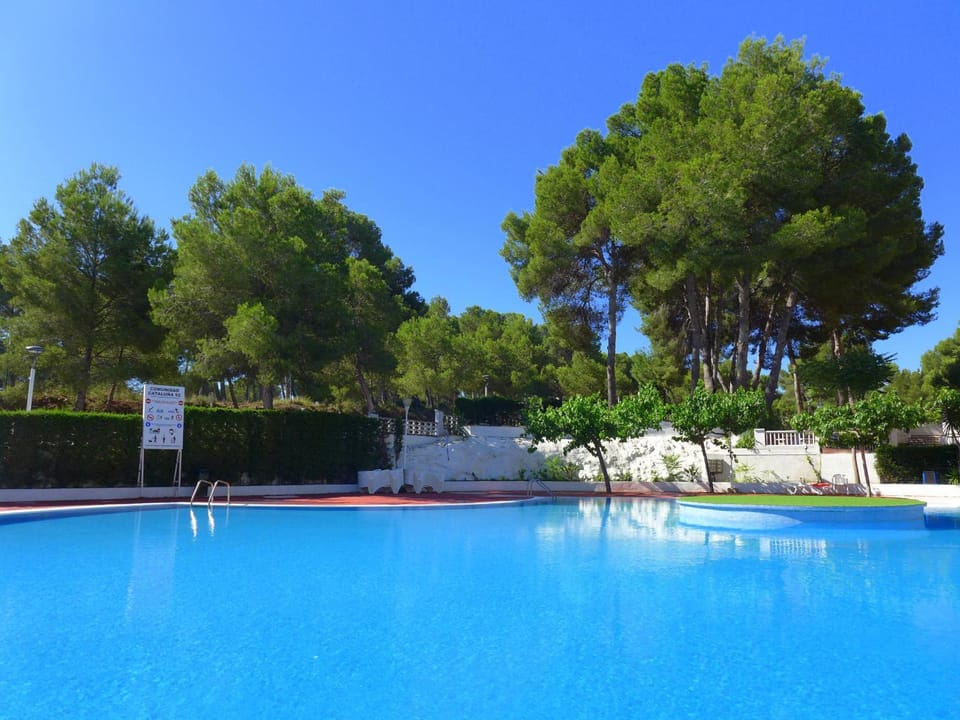 Swimming pool, Swimming pool
