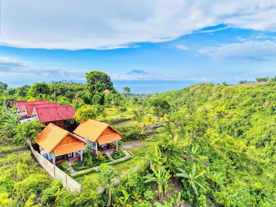 Property building, Natural landscape, Bird's eye view