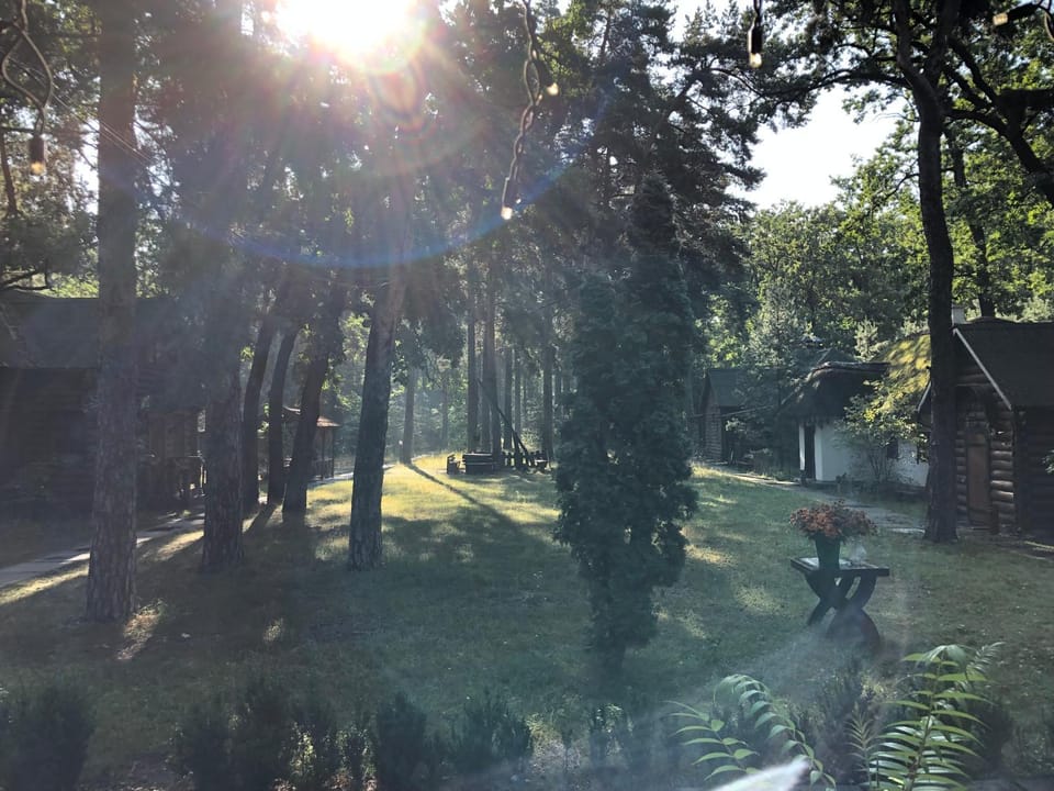 Garden, Balcony/Terrace, Sunrise