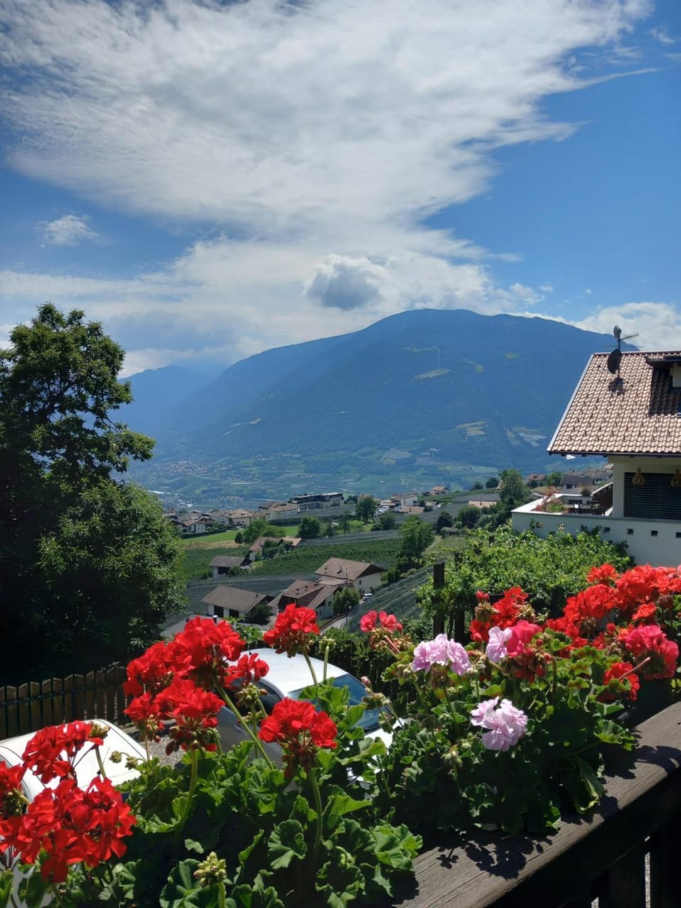 Haus Niederweg Apartment in Tirol