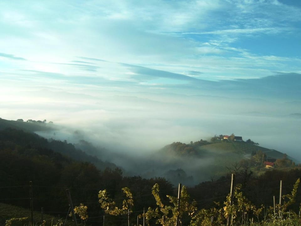 Natural landscape