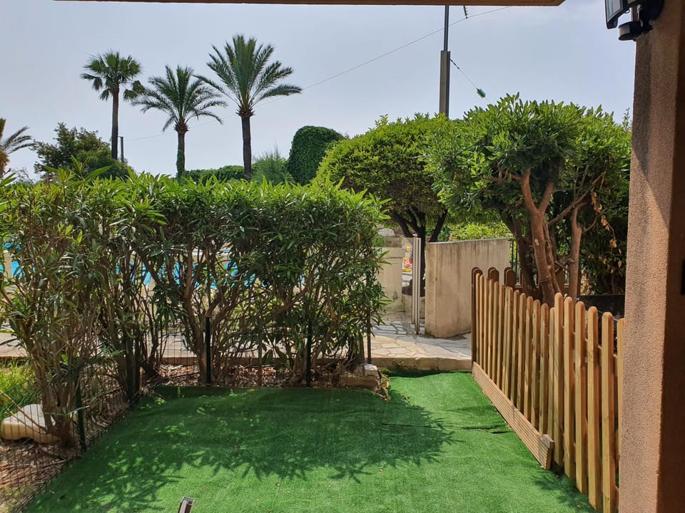 Garden view