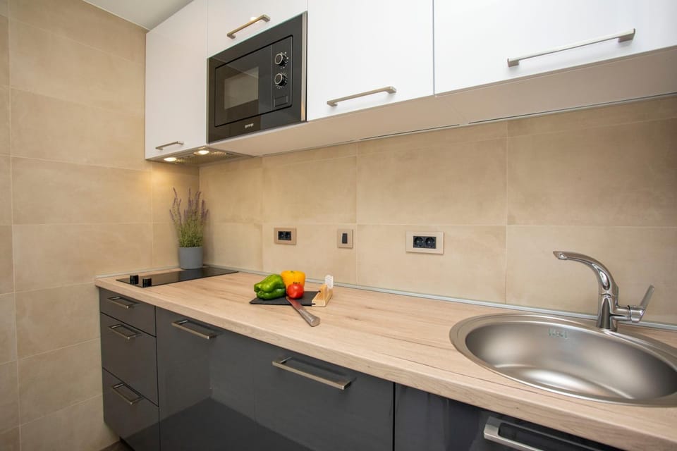 Kitchen or kitchenette, dishwasher, stove