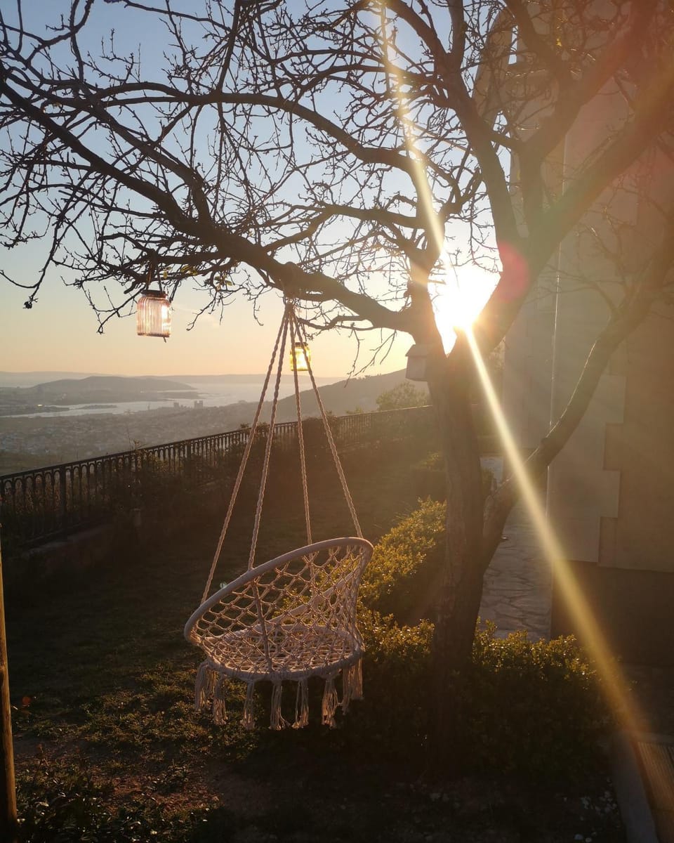 Garden view, Sunset
