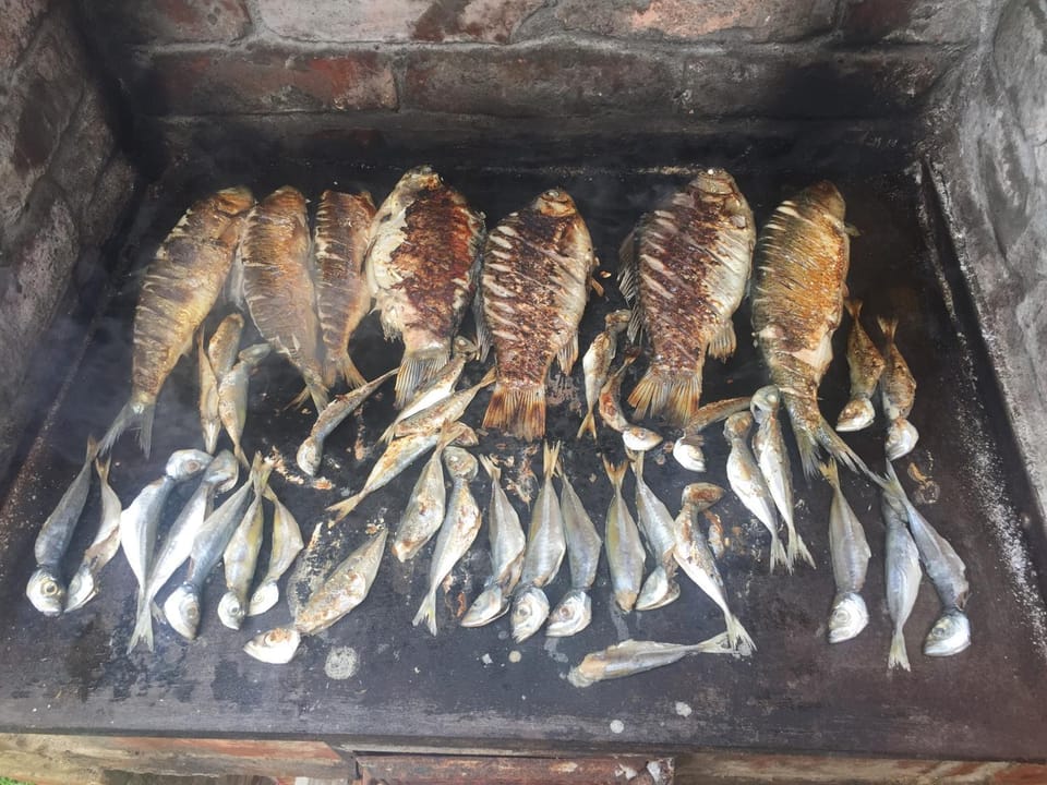 Vila Lăcrămioara din Mangalia Bed and Breakfast in Dobrich Province, Bulgaria