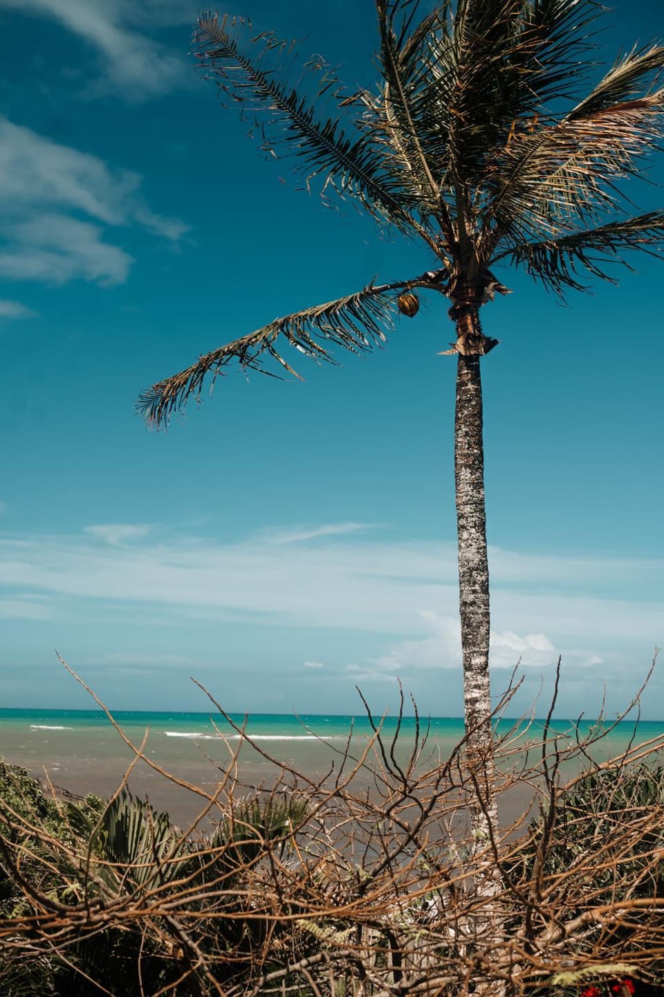 Natural landscape, Beach, Sea view