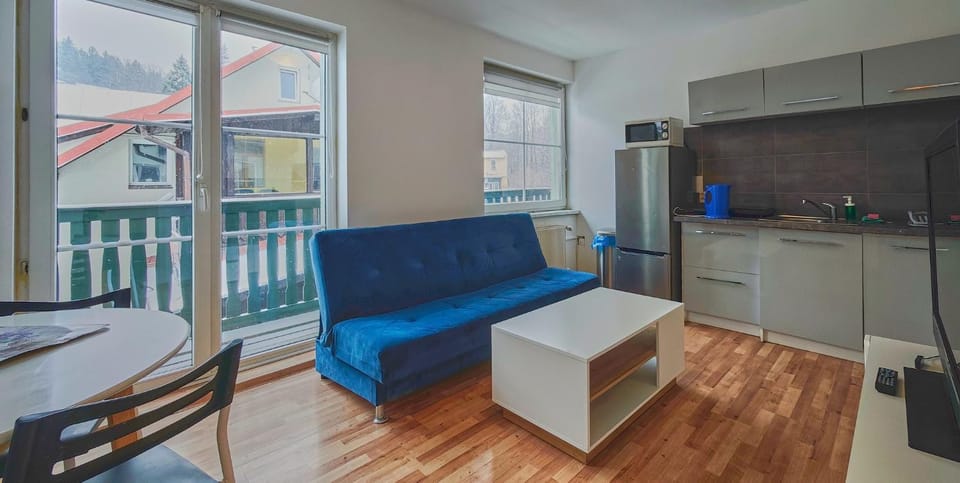 Waldi Pokoje Gościne z aneksem Apartment in Lower Silesian Voivodeship
