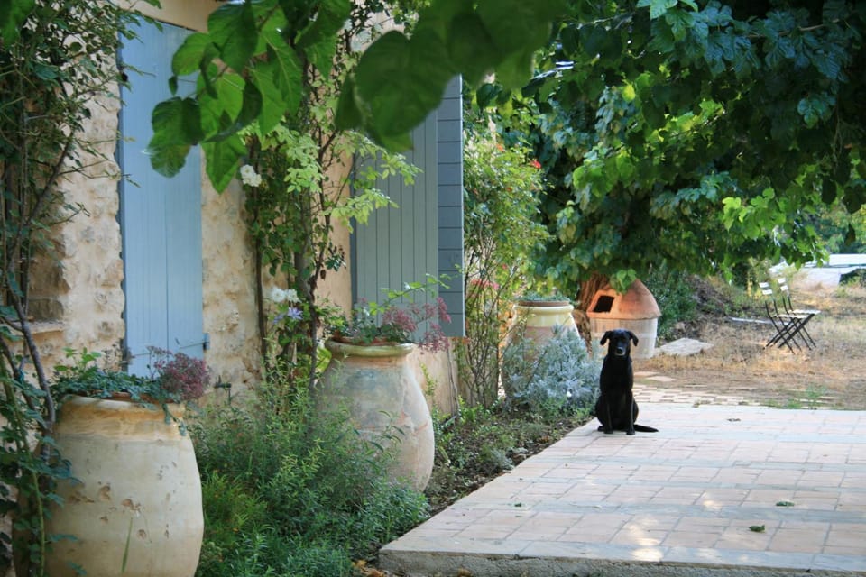 Garden view