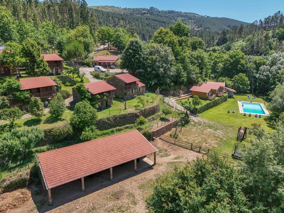Property building, Natural landscape, Garden, Swimming pool