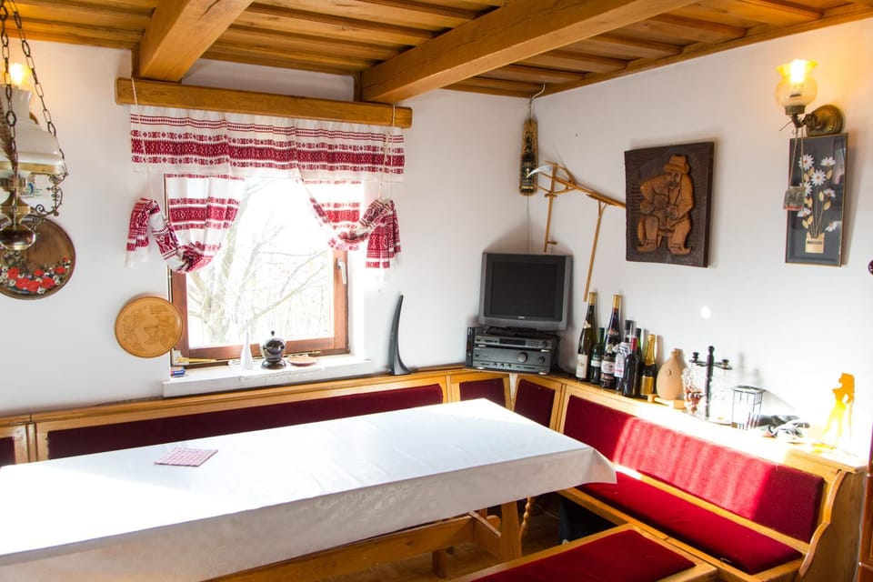 Pri konjskem pajdašu House in Slovenia