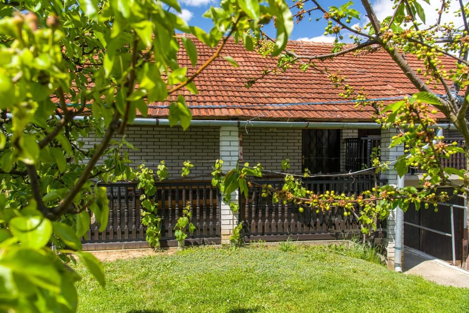 Pri konjskem pajdašu House in Slovenia