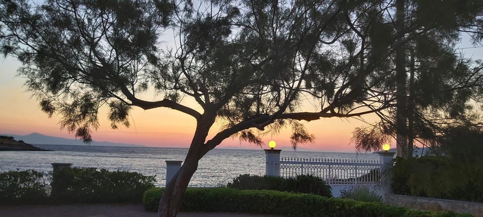 Natural landscape, View (from property/room), View (from property/room), Garden view, Garden view, Sea view, Sea view, Sunrise