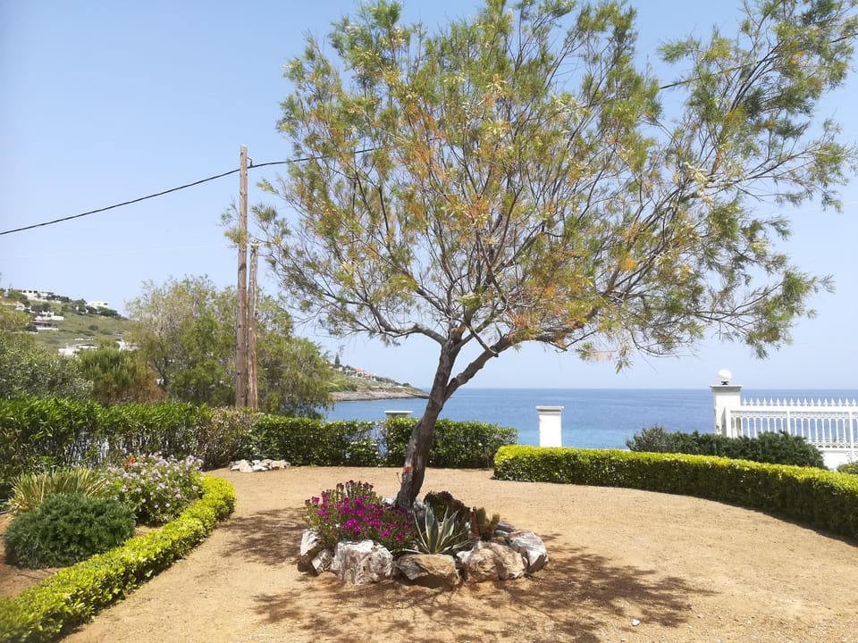 Garden, View (from property/room), Garden view, Sea view