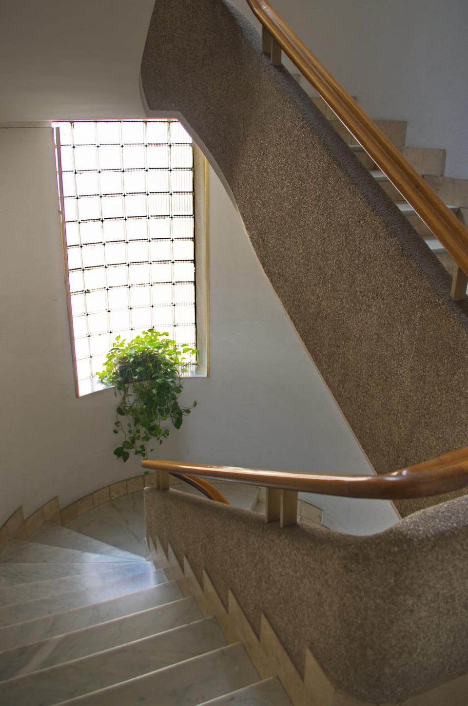 Olivarooms Bed and Breakfast in Palermo