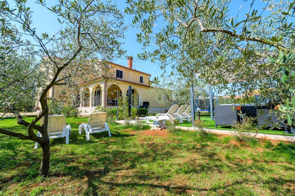 Patio, Garden, Garden view