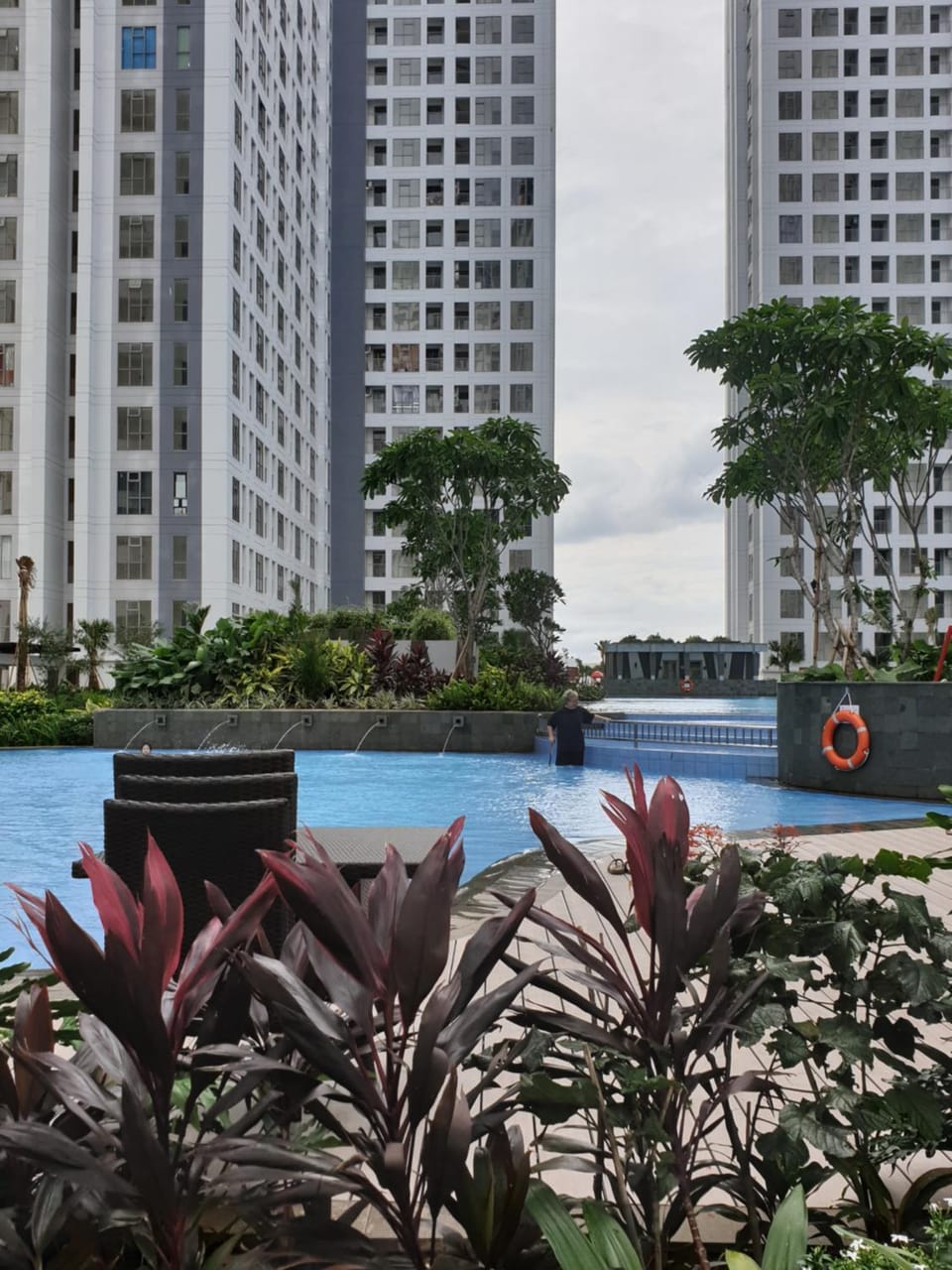 Garden, Swimming pool