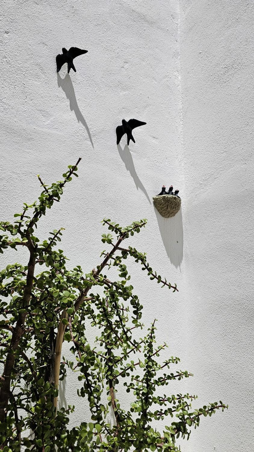 Patio, Balcony/Terrace