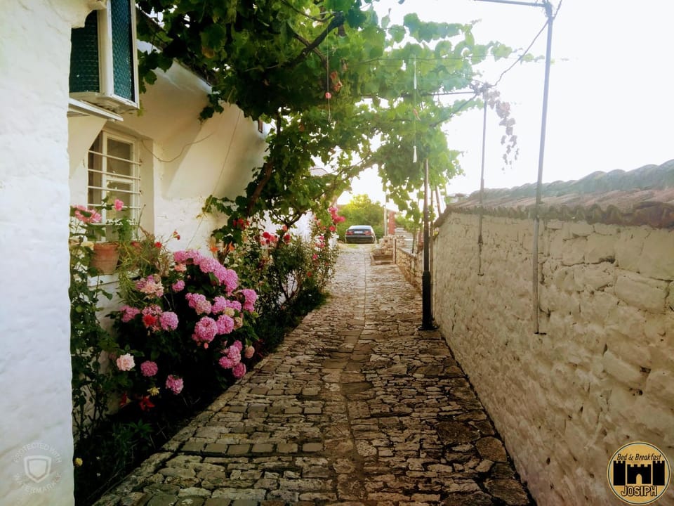 Property building, Patio, Garden