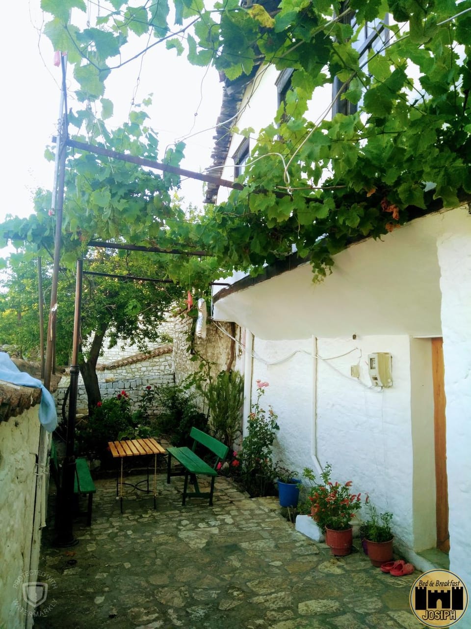 Property building, Patio, Garden