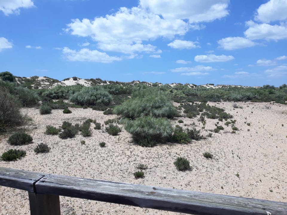 Property building, Natural landscape, Location