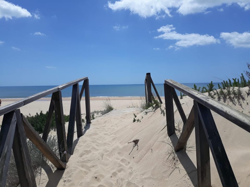 Nearby landmark, Beach