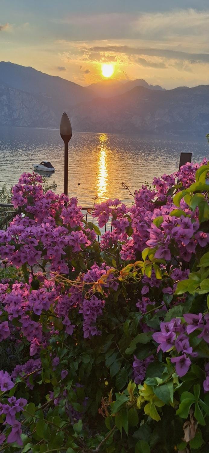 Natural landscape, Lake view