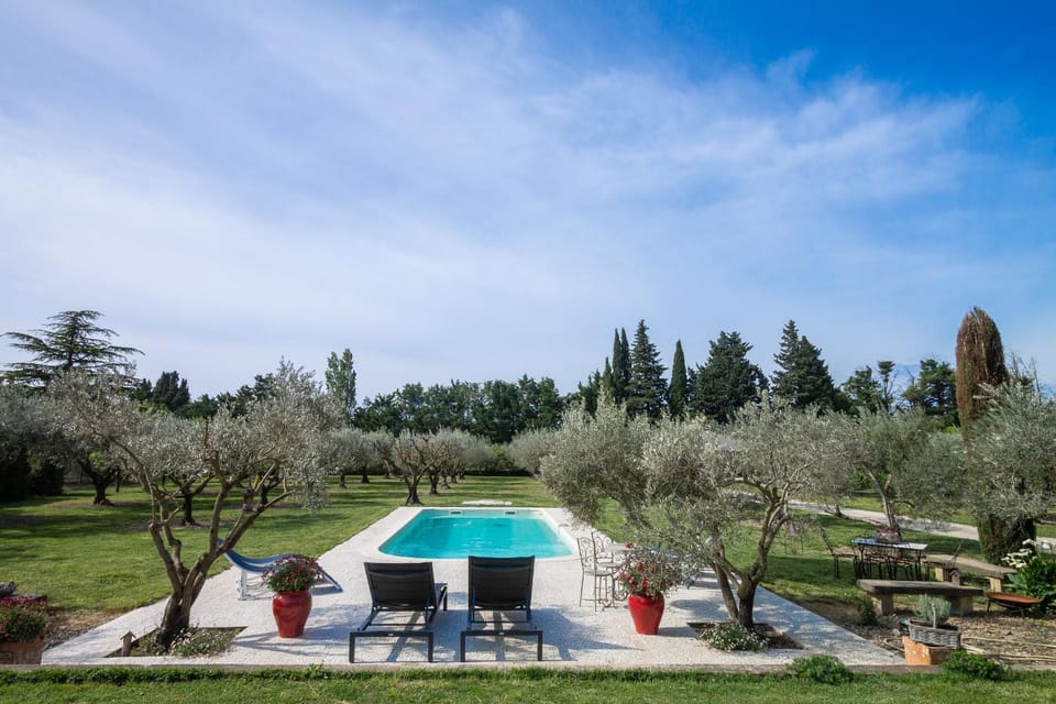 Patio, Garden, Garden view