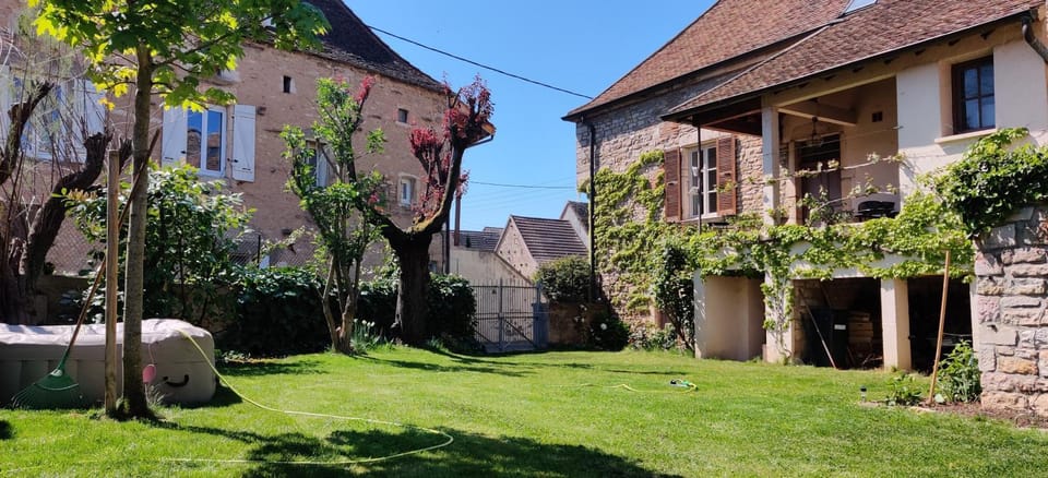 Natural landscape, Garden, Garden view