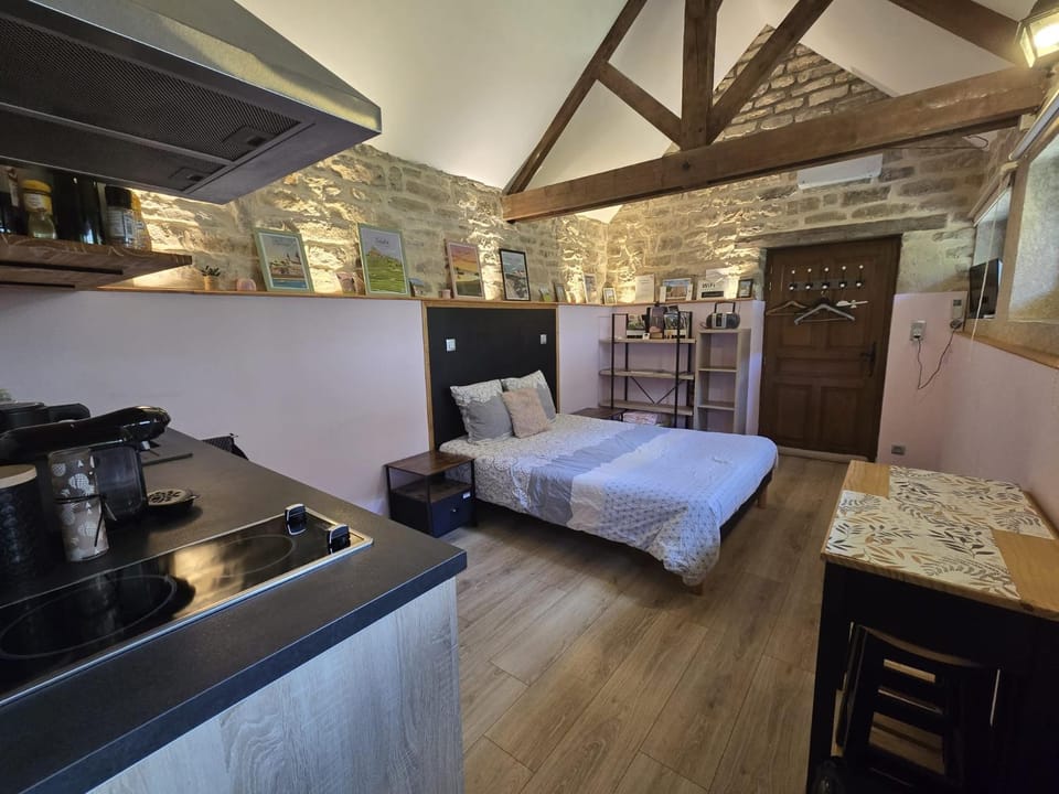Bed, Kitchen or kitchenette, Photo of the whole room, Seating area, Dining area, Bedroom, stove