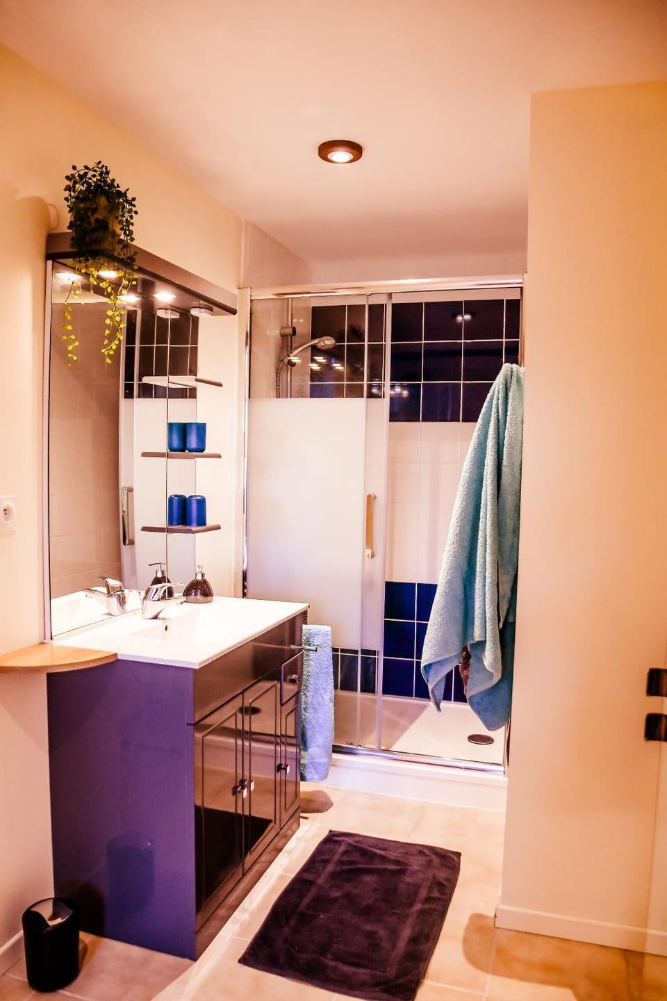 le Pic vert Apartment in Brittany