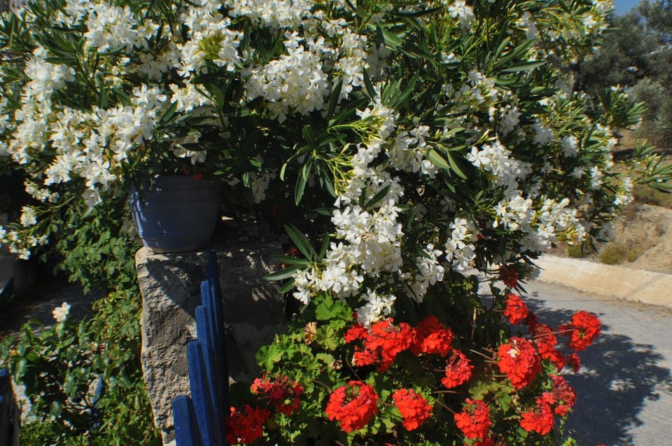 Korfes Apartments Apartment in Crete