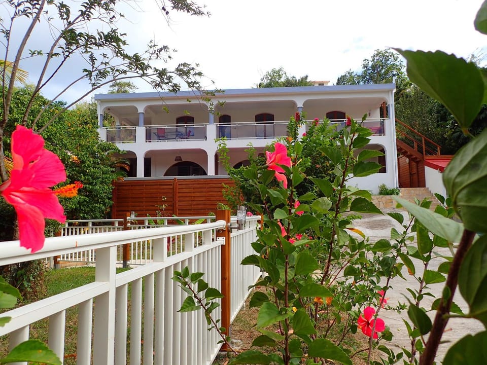Property building, Garden view
